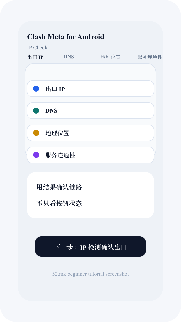 Clash Meta for Android 使用后的 IP 检测截图示意