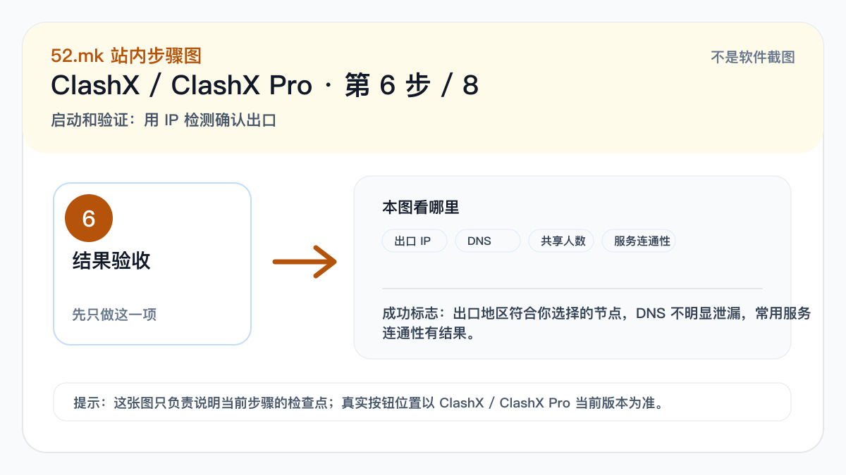 ClashX / ClashX Pro IP 检测验收示意图