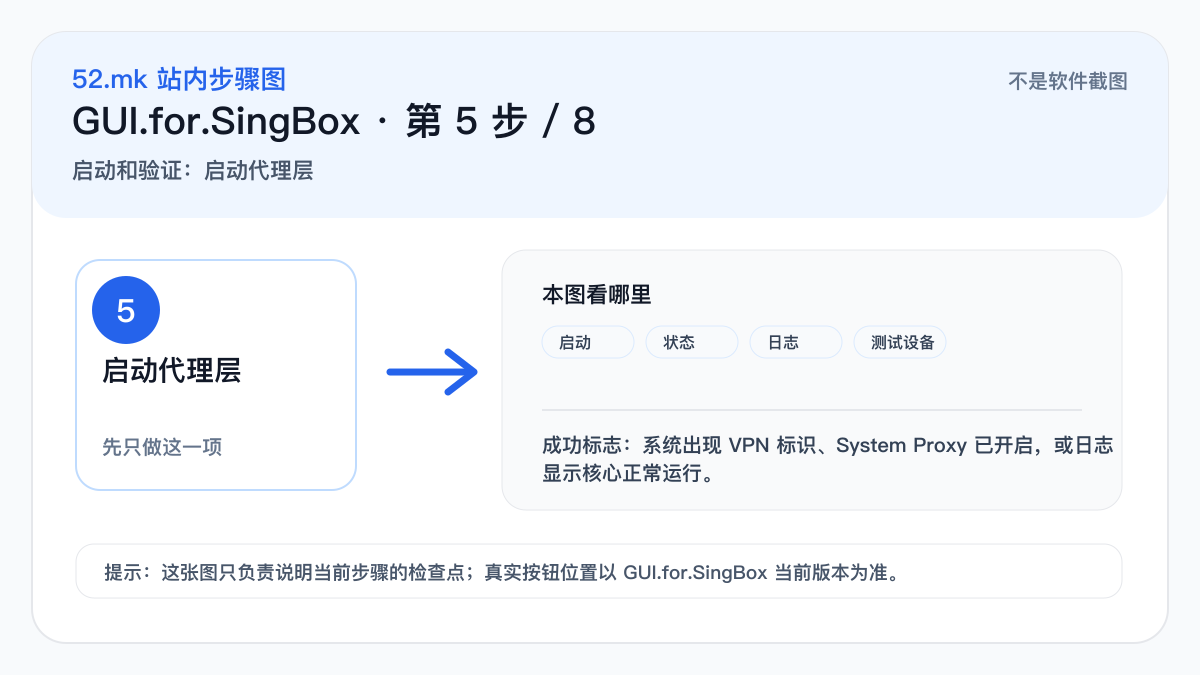 GUI.for.SingBox 启动和验证示意图
