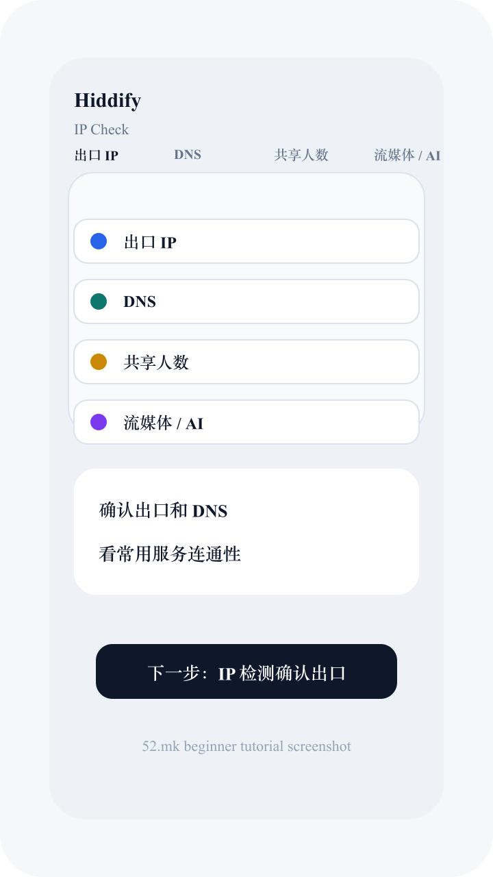 Hiddify 使用后的 IP 检测截图示意