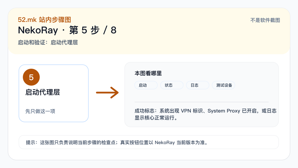 NekoRay 启动和验证示意图
