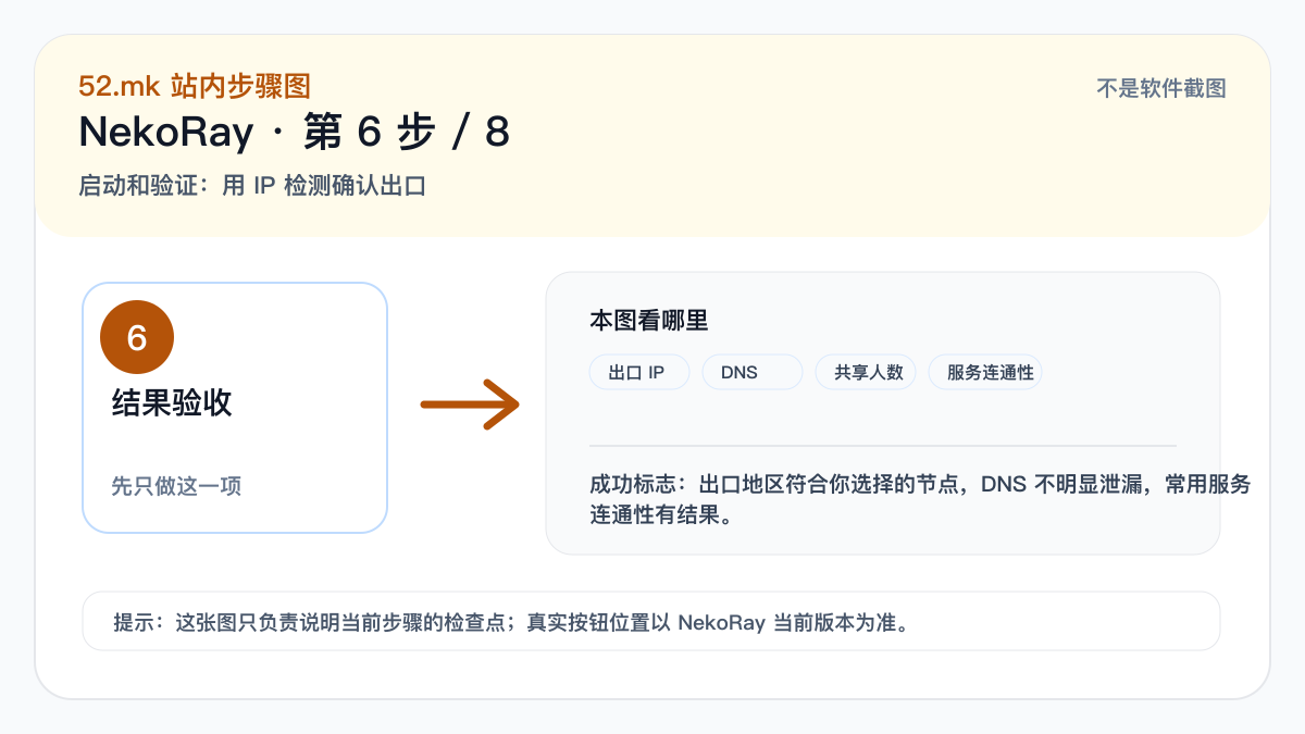 NekoRay IP 检测验收示意图