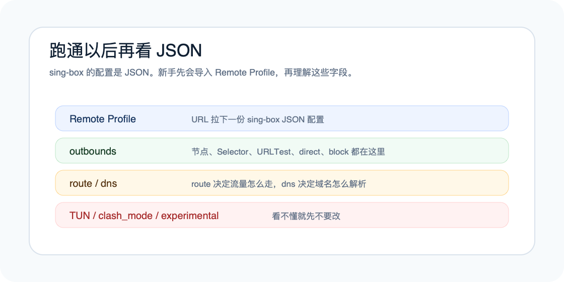 sing-box JSON、outbounds、route、dns 和 TUN 分层示意图