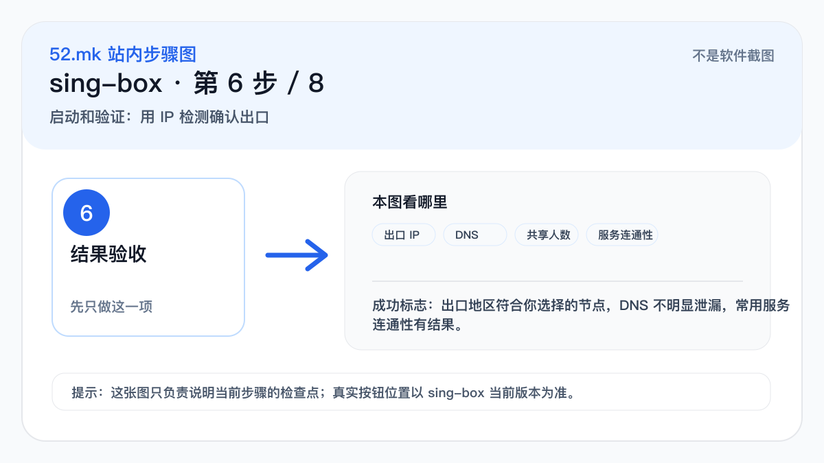 sing-box IP 检测验收示意图