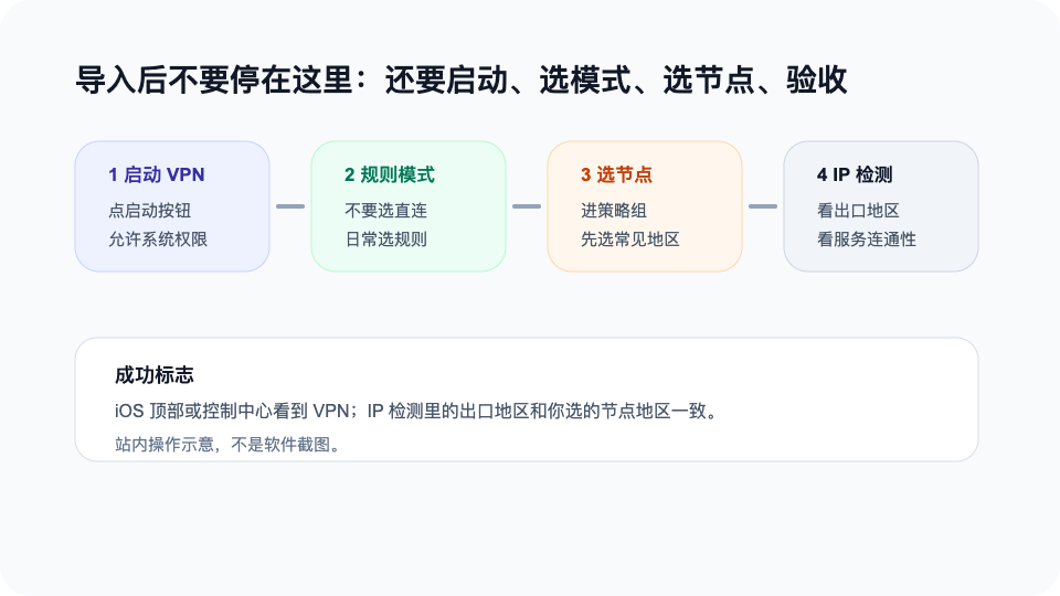Surge 启动后从 VPN 到 IP 检测的验收示意图