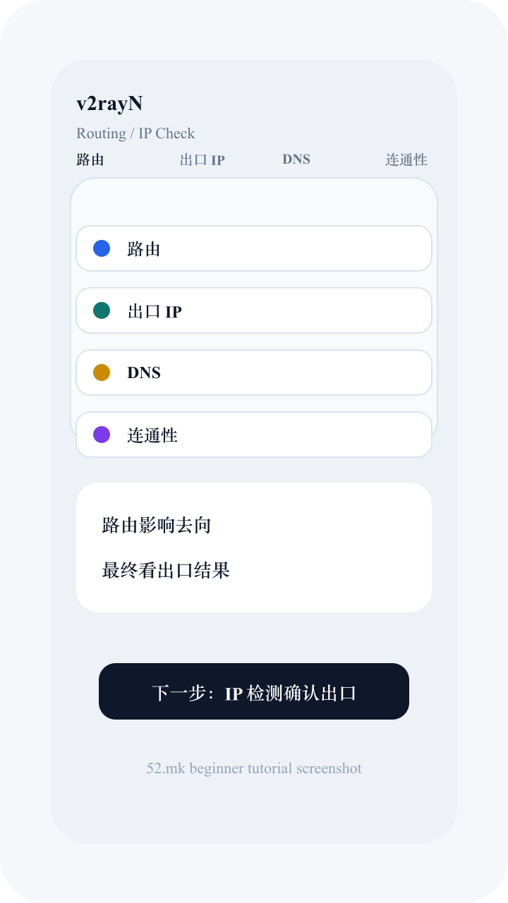 v2rayN 路由和 IP 检测截图示意