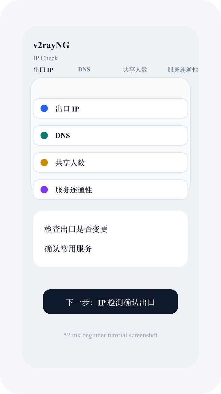 v2rayNG 使用后的 IP 检测截图示意