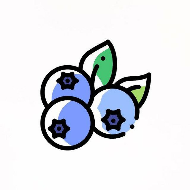 蓝莓FUN