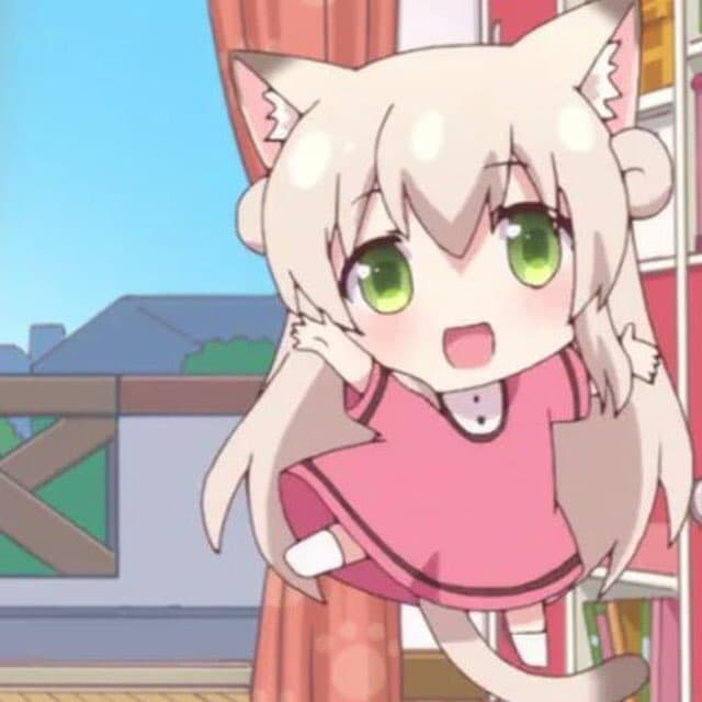 猫云